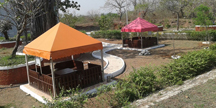 Tents & Gazebos